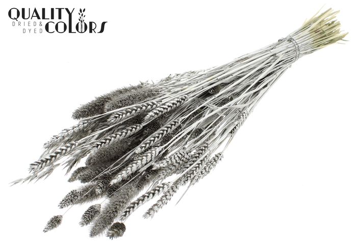 <h4>Dried Flower mix bunch Platina</h4>