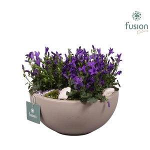 Schaal keramiek Moon Medium grijs mat met Campanula 24uur levertijd