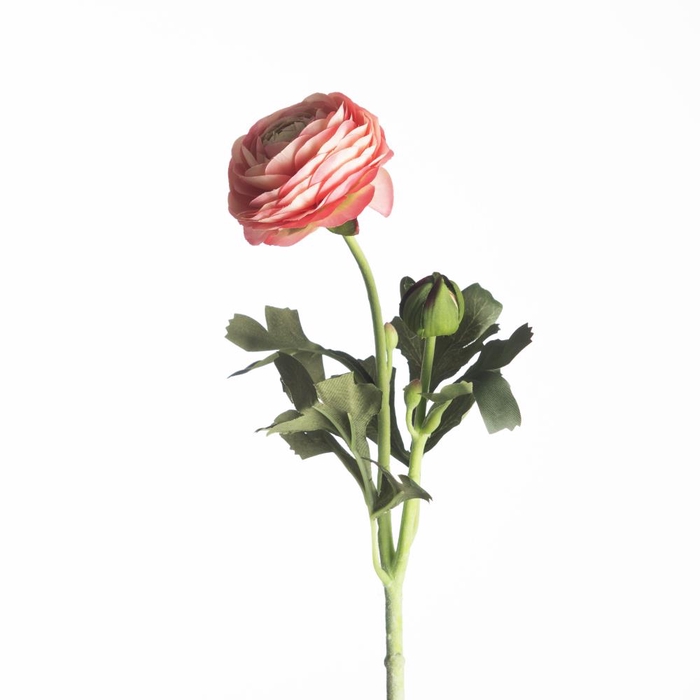<h4>AF Ranunculus L51cm Pink</h4>