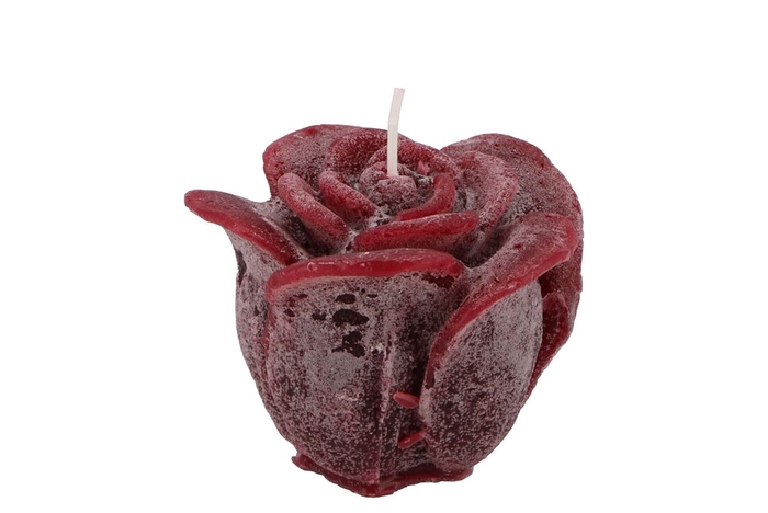 <h4>Candle Roos Bordeaux 8x7cm</h4>