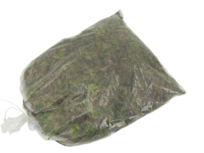 Mos Sphagnum ( Net Groot )