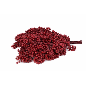 Schinus M Pt Burgundy Bunch