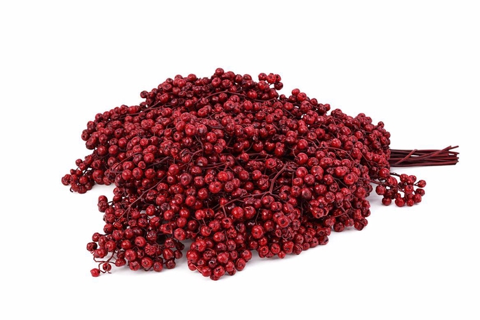 <h4>Schinus M Pt Burgundy Bunch</h4>