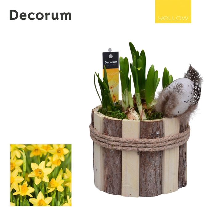<h4>Narcis Tak Rond HL17765 [YELLOW]</h4>