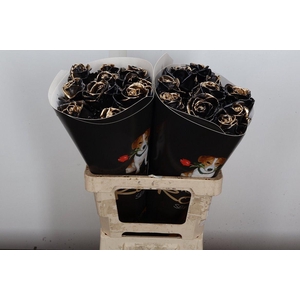 R Ov Wx Vintage Black Gold