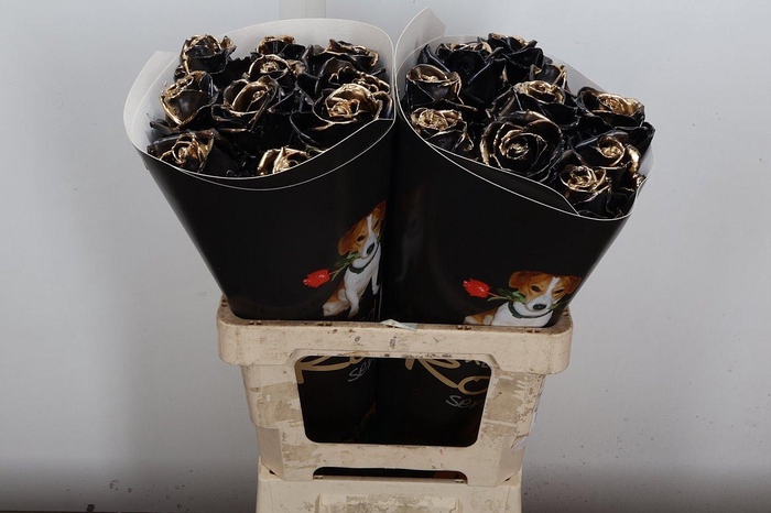 <h4>R Ov Wx Vintage Black Gold</h4>