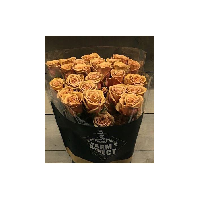 <h4>R Gr Toffee</h4>