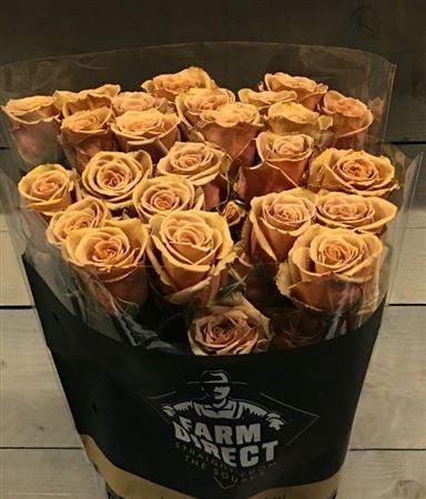 <h4>R Gr Toffee</h4>