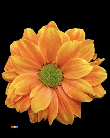 <h4>Chr T Kennedy Sunset</h4>