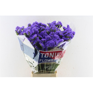 Lim S Crystal Dark Blue