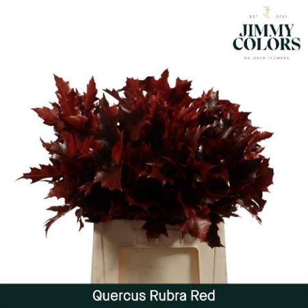 <h4>Querc Rubra Rood</h4>