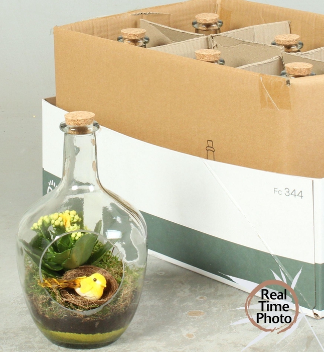 <h4>ARR KAMERPL</h4>