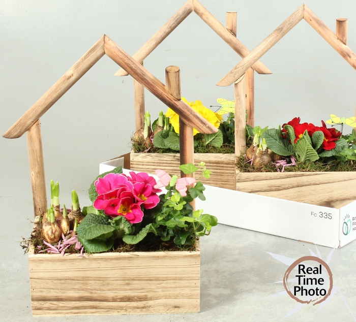 <h4>ARR TUINPLANTEN</h4>