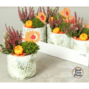 ARR TUINPLANTEN