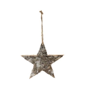 Kerst Hanger ster 20cm
