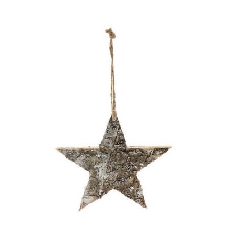 <h4>Kerst Hanger ster 20cm</h4>