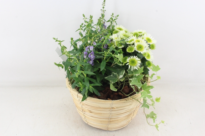 <h4>arr4 Outdoor PL - Mand paia naturel</h4>