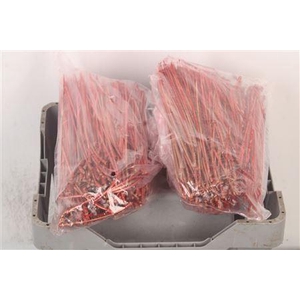 Pineneedles Red Metallic Bag