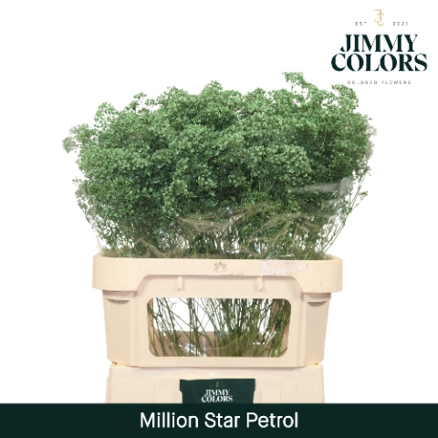 <h4>Gyps Million Star L80 Petrol</h4>