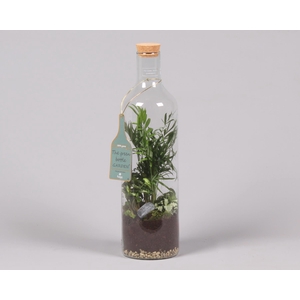 Green Bottle Fles Large met Groen Planten Arrangement