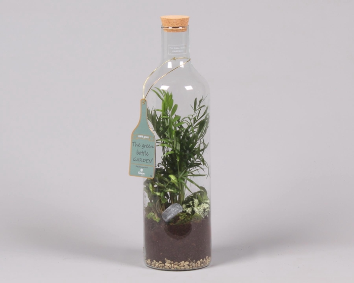 <h4>Green Bottle Fles Large met Groen Planten Arrangement</h4>