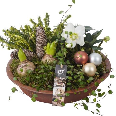 <h4>PTWO1948 Arrangement Winter Outdoor in metalen schaal</h4>