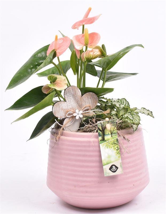 <h4>Keramiek ribbel pot roze 16.5cm</h4>
