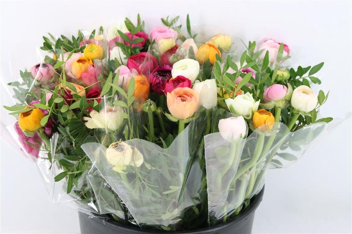 <h4>Ran Bouquet Pistache P Bunch</h4>