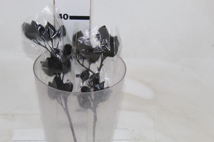 <h4>FLOR DE URUCUM</h4>