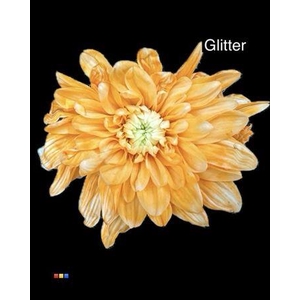 Chr T Baltica Apricot + Glit Bio