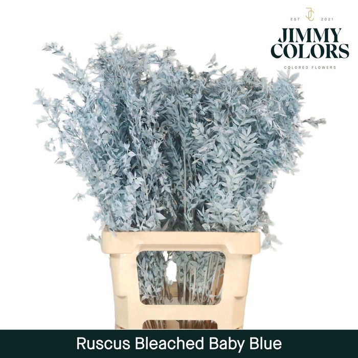 <h4>Ruscus Bleached Italy L70 Light blue</h4>
