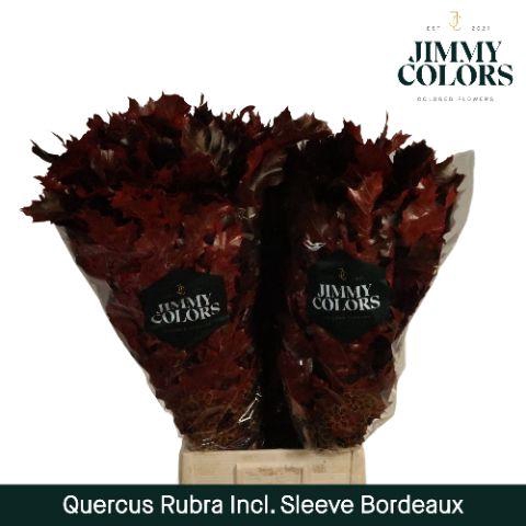 <h4>Quercus Rubra sleeve L80 Bordeaux</h4>