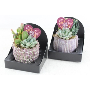 arr3 AD - Mother's day Keramiek x6