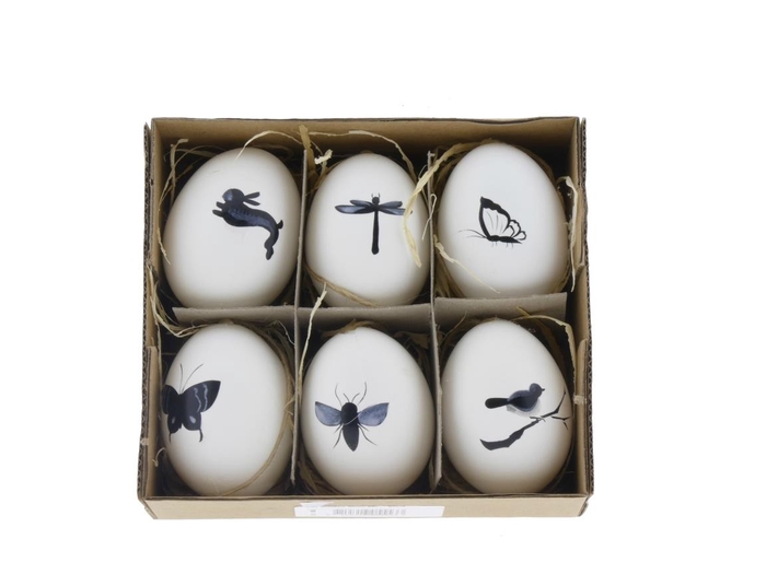 <h4>Egg Chicken White Mix Box/6</h4>