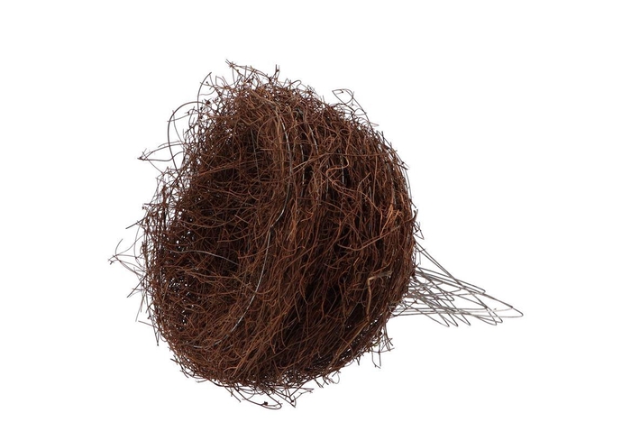 Floristry Bouquet Holder Salim 20cm Natural