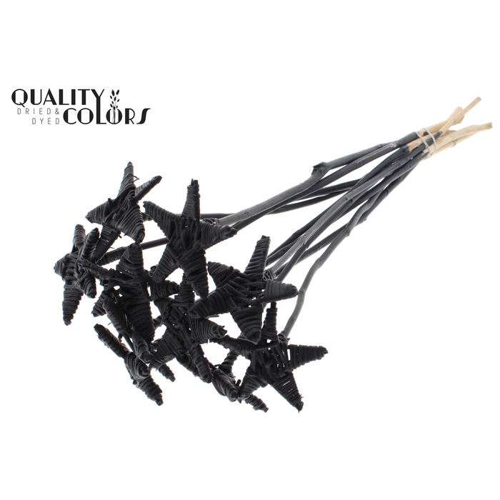 <h4>Lata Star on stem Covered Black</h4>
