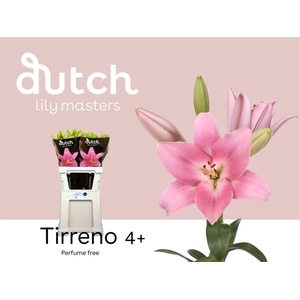 Li La Tirreno