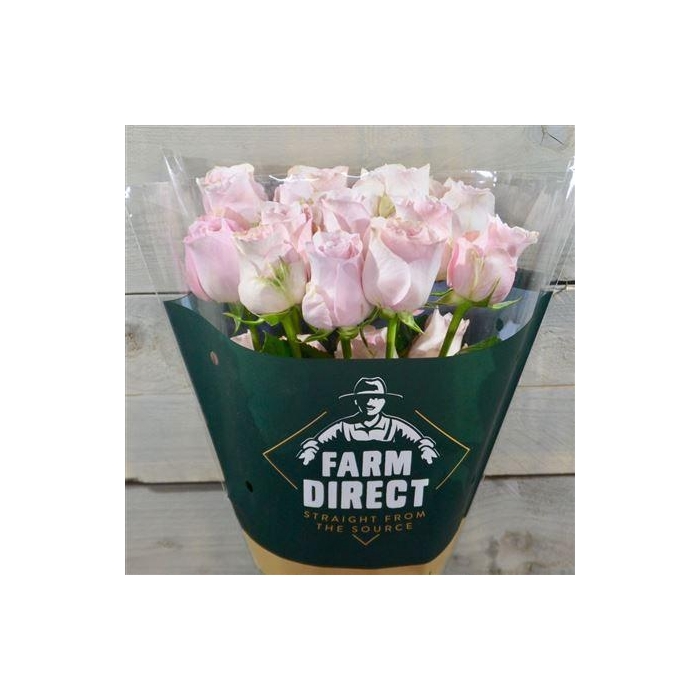 <h4>R Gr Sweet 4 Love</h4>