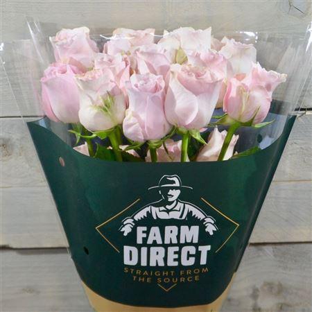 <h4>R Gr Sweet 4 Love</h4>