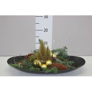 Arr Kerst Schaal Goud