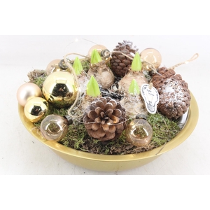 arr4 Hyacint PL - Zink schaal goud LED