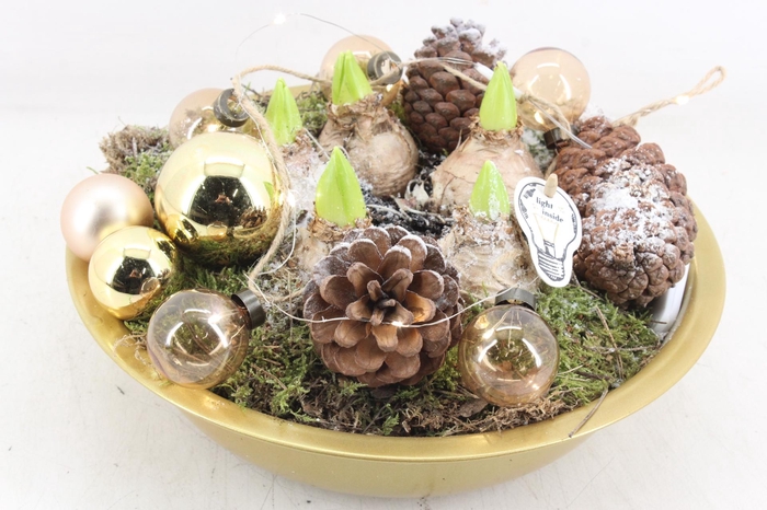 <h4>arr4 Hyacint PL - Zink schaal goud LED</h4>