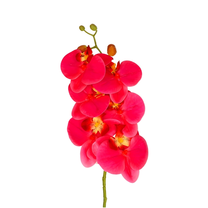 <h4>Kunstbloemen Phalaenopsis 68cm</h4>