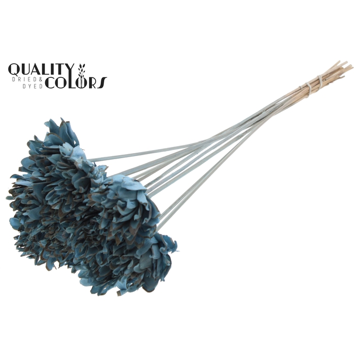 <h4>Shola Slice Pine 6cm on stem Light Blue</h4>