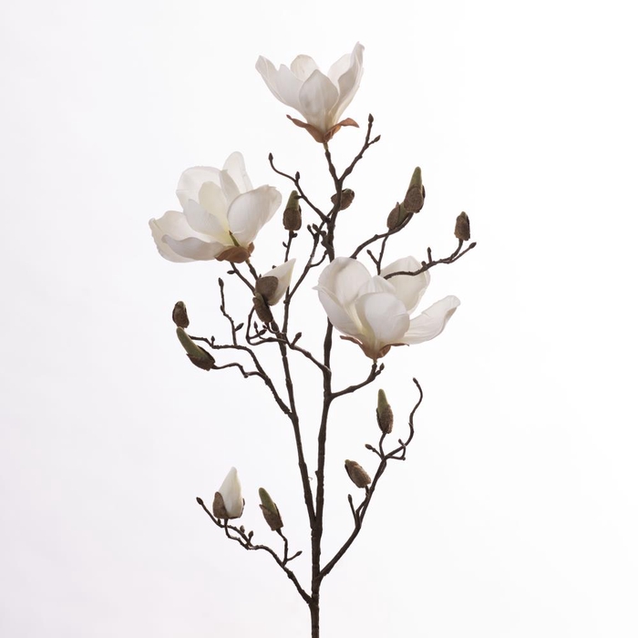 Af Magnolia L86cm White