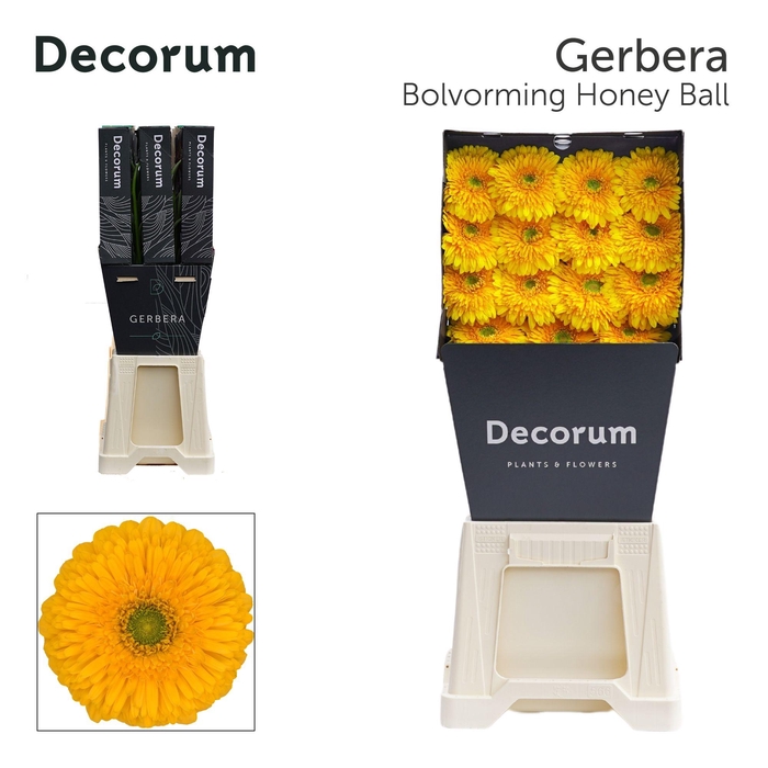 <h4>GE GB HONEY BALL Diamond per kaart</h4>