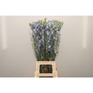 Delph En Ballkleid Pale Blue