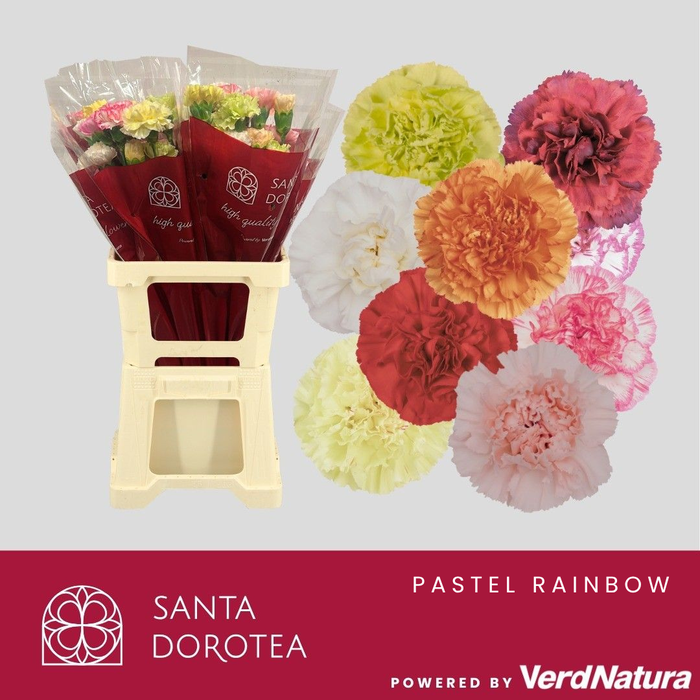 <h4>DI ST GEM IN BOS</h4>