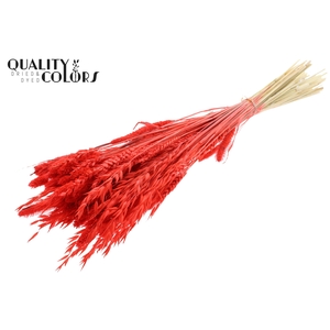 Dried Flower Mix bunch Bleached Coral