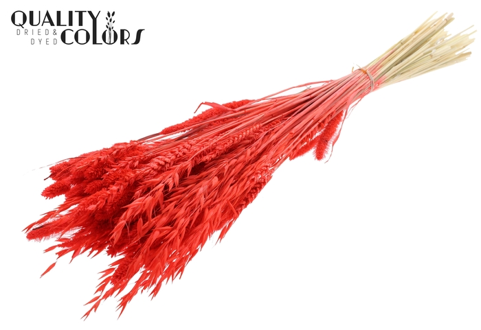 <h4>Dried Flower Mix bunch Bleached Coral</h4>